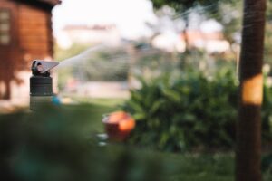 Sprinkler and irrigation systems are great - let's find out which one is best for you!