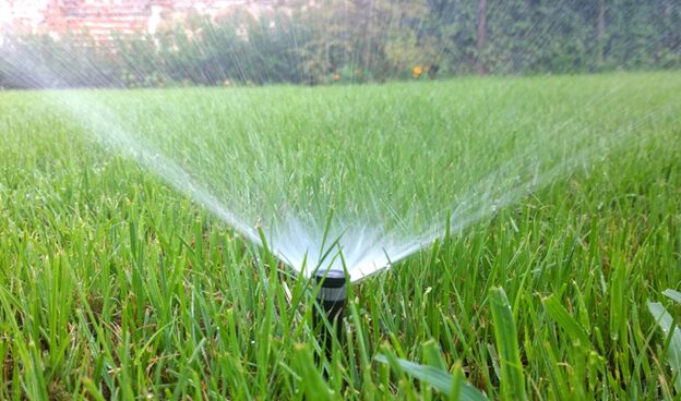 Are You Watering Your Lawn Properly