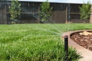 how much water lawn 742x495 1