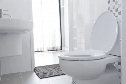lifestyle toilet